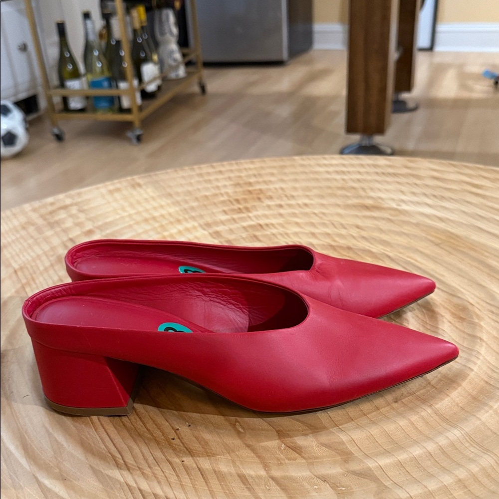 Vince Red Pointed-Toe Low Block Heel Mules